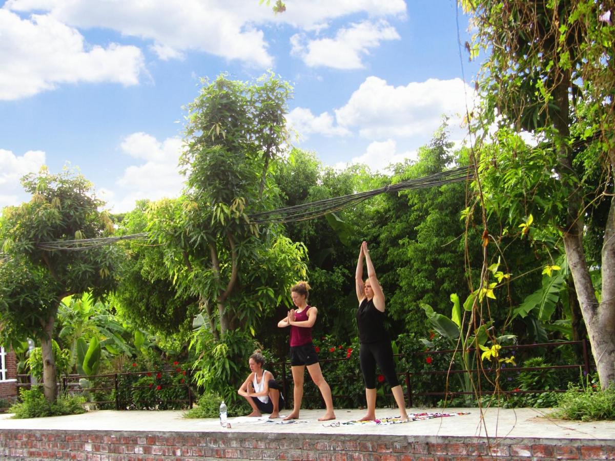 Ninh Binh Mountain Side Homestay & Cafe Exteriör bild