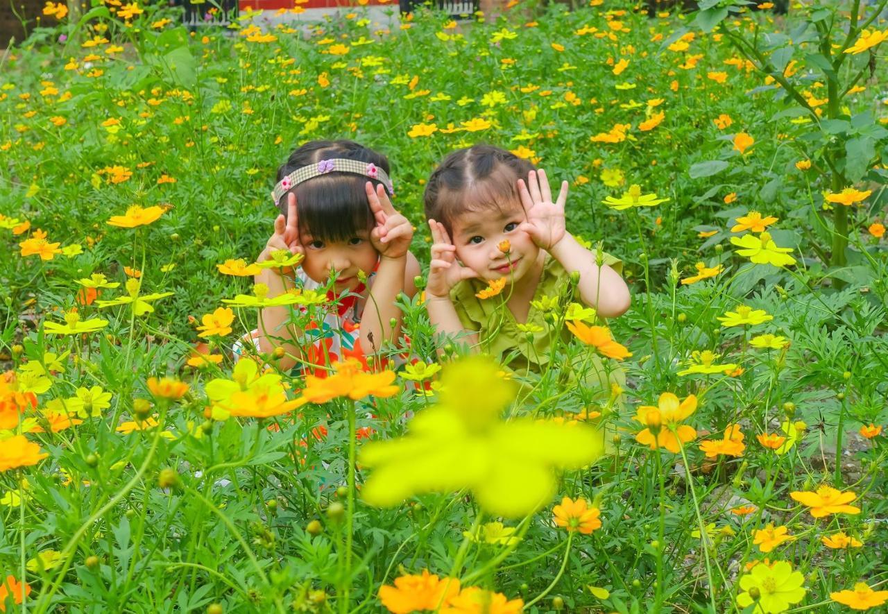 Ninh Binh Mountain Side Homestay & Cafe Exteriör bild