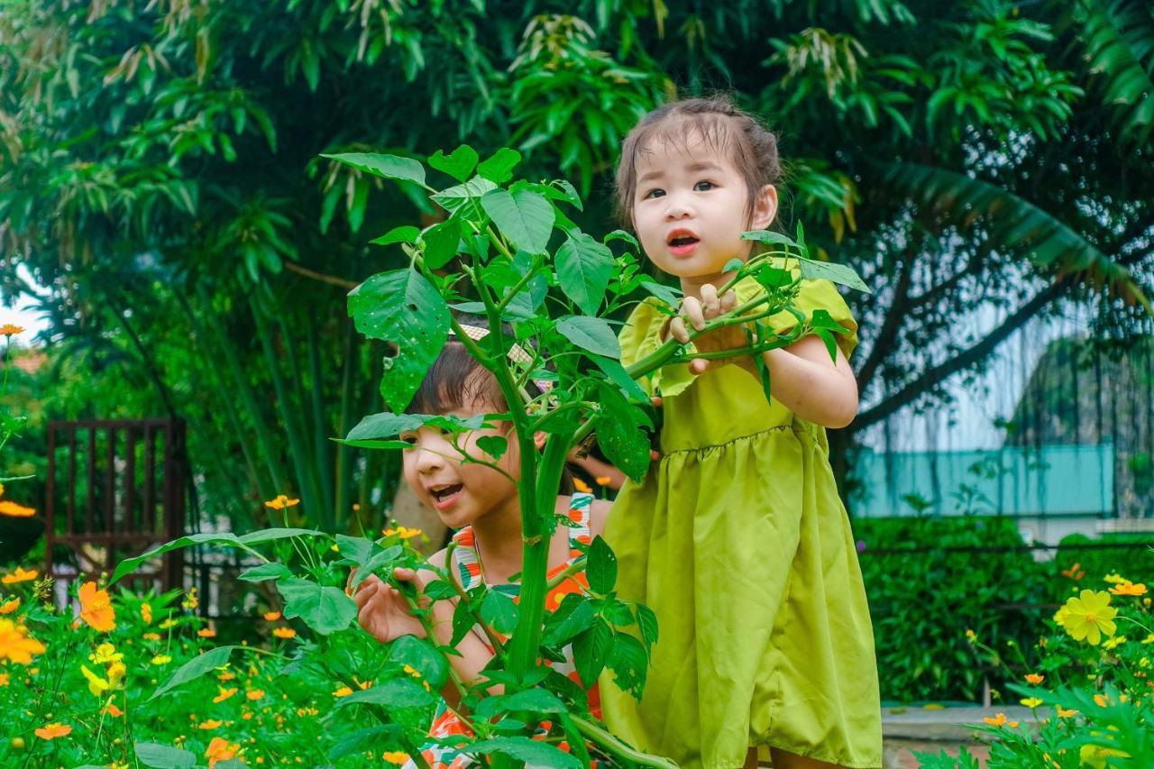 Ninh Binh Mountain Side Homestay & Cafe Exteriör bild