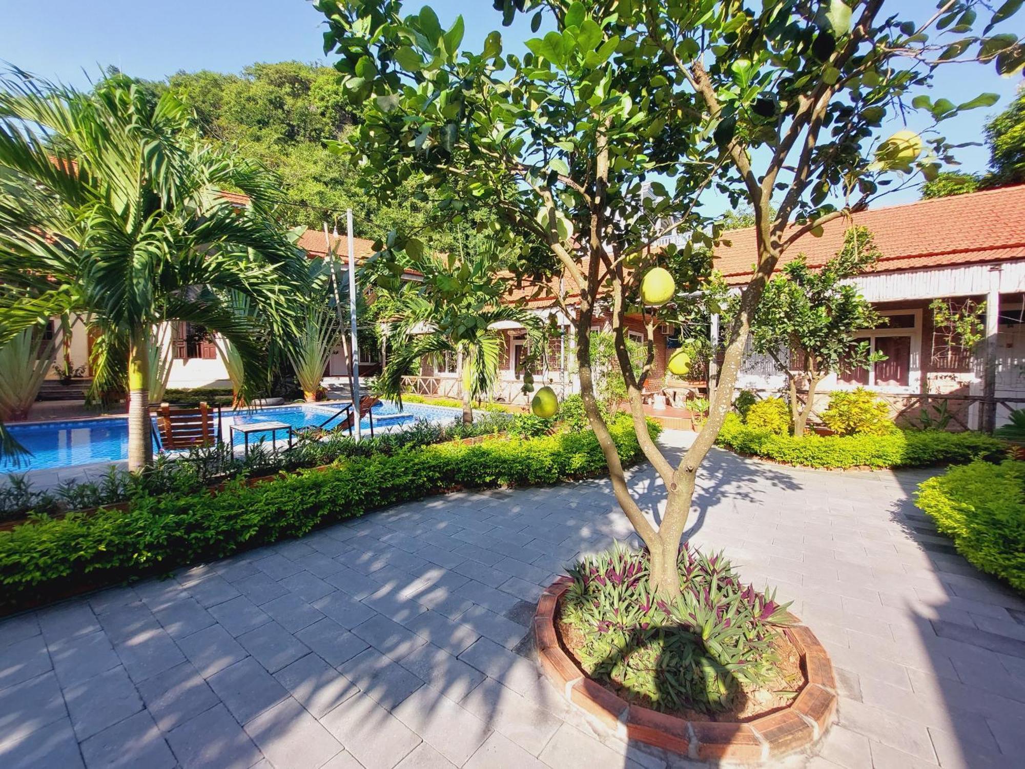 Ninh Binh Mountain Side Homestay & Cafe Exteriör bild