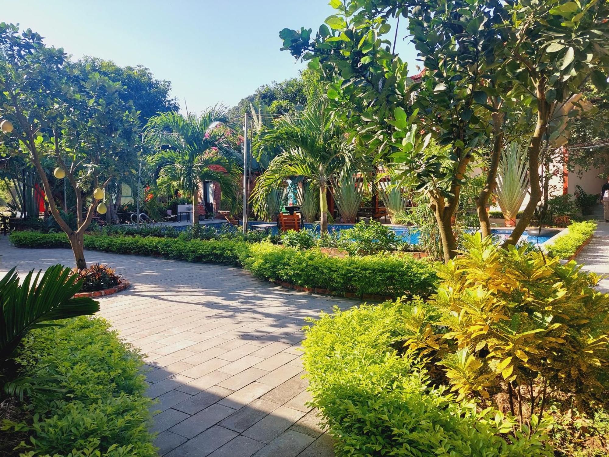 Ninh Binh Mountain Side Homestay & Cafe Exteriör bild